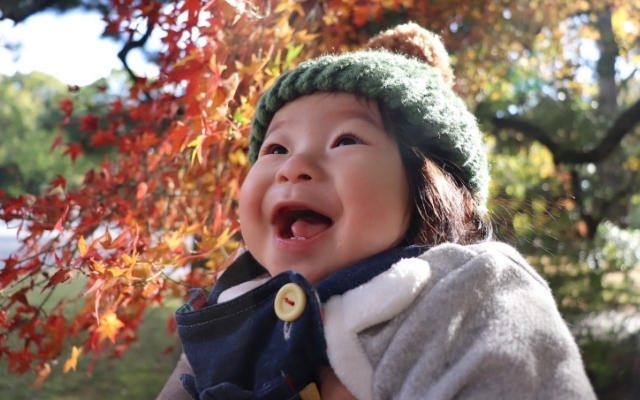 紅葉を楽しむ赤ちゃん,