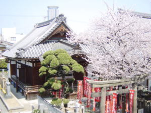 常光円満寺,安産祈願,神社,大阪
