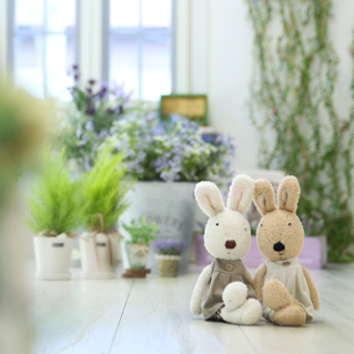 BABY STUDIO イメージ,マタニティフォト,名古屋,