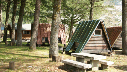 さくま 浦川キャンプ村,静岡県,キャンプ場,