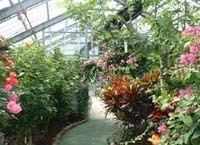 花畑園芸公園温室,福岡県,子どもの写真,植物園