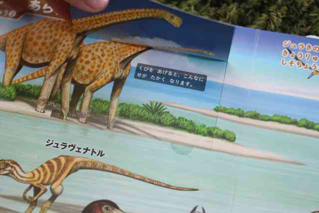 はっけんずかん のりもの　きょうりゅう　まどあけずかん　図鑑　セット　学研 はっけんずかん 学研+小学館の図鑑NEO まどあけずかん 10冊