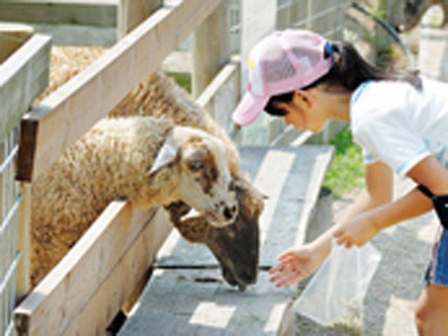 愛知牧場,愛知県,牧場,動物