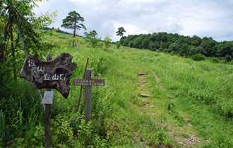 位山,岐阜,山登り,子ども
