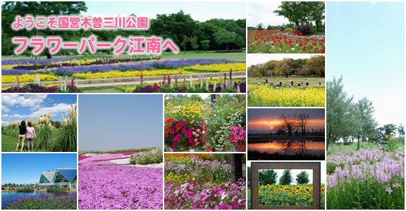 フラワーパーク江南,大型,遊具,公園