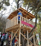 アジロ自然の森展望台,高知,ハイキング,おすすめ