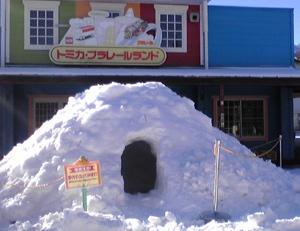 かまくら,軽井沢,おもちゃ王国,冬