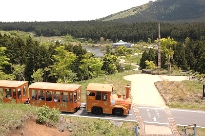 こどもの国列車,富士山こどもの国,キャンプ,