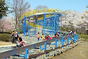 こどもの国、滑り台と桜,神奈川,花見,名所