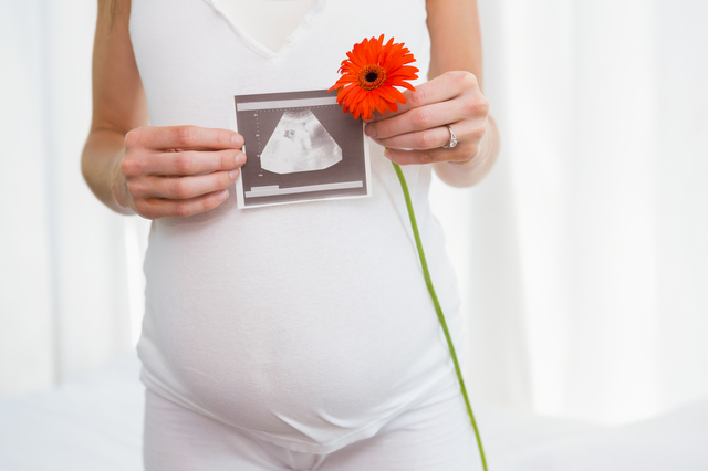 エコー写真とお花を持つ妊婦さん,妊娠22週,胎児,