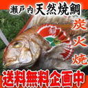 【送料無料】【祝い鯛】 1Kgアップ お食い初め お祝い用【祝い飾り付き】 天然焼き鯛 祝鯛 炭火焼 淡路島・明石鯛を心を込めて焼き上げます。にらみ鯛にも最適な【鯛の塩焼き】。天然焼鯛の祝鯛【鯛の尾頭付き】おくいぞめ に最適!【お食い初め鯛】,お食い初めセット,