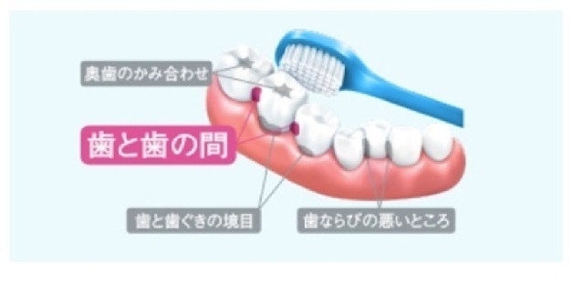 フロス6,