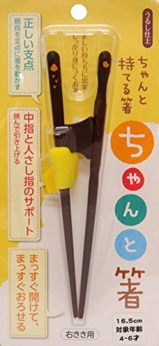 イシダ 箸の持ち方矯正 ちゃんと箸 こども用 16.5cm 右利き,子ども,箸,おすすめ