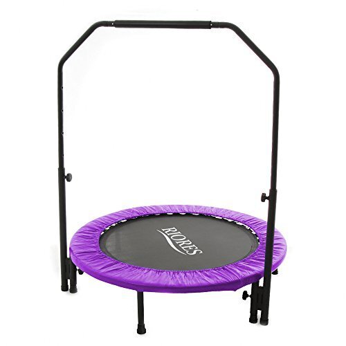 RIORES (リオレス) トランポリン 102cm 手すり付き(補助棒付) 耐荷重110kg 家庭用 静音設計 大人用 子供用 (パープル),おもちゃ,2歳,