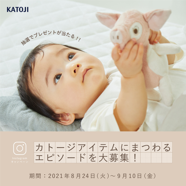 キャンペーン概要,