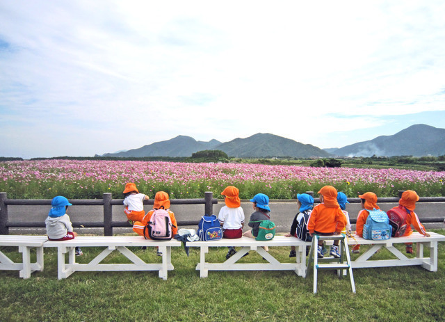 幼稚園児の遠足,幼稚園,費用,