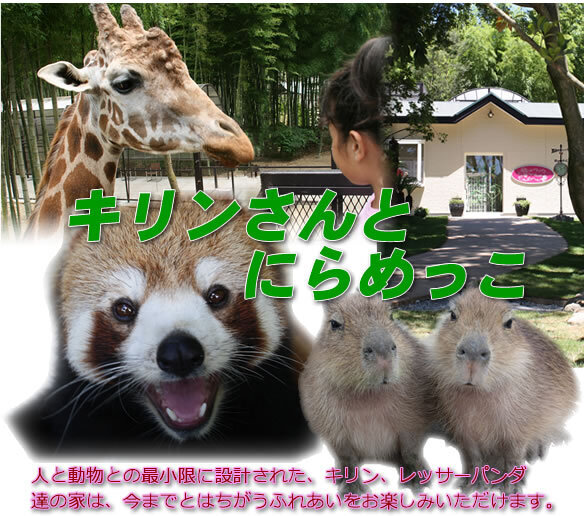 サユリワールド,千葉県,動物園,動物と触れ合える