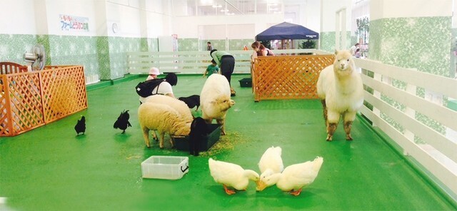 モフアニマルワールド,千葉県,動物園,動物と触れ合える