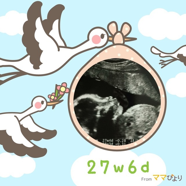 エコー写真 27週6日 27w6d 男の子,妊娠,27週,エコー写真