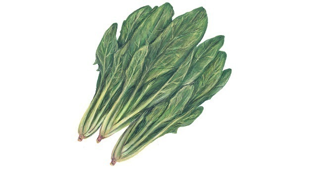 ほうれん草,