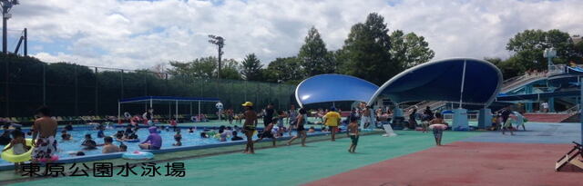 東原公園水泳場,東京 ,プール,スライダー