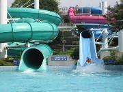 昭和記念公園 レインボープール,東京 ,プール,スライダー