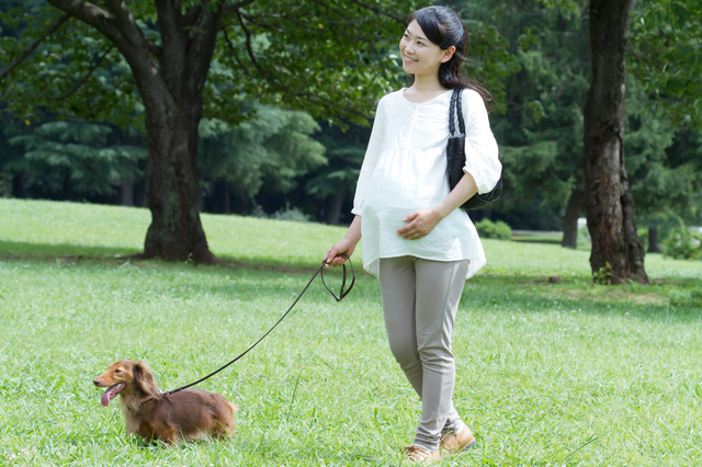 散歩する妊婦さん,妊娠,37,週