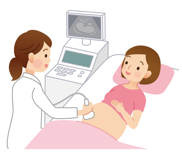 妊婦の診察,妊娠,37,週