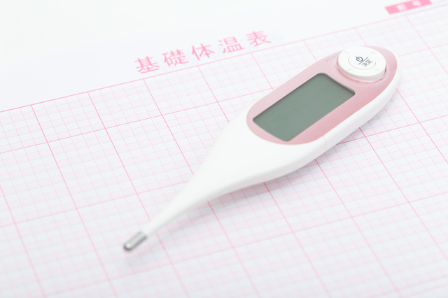 婦人体温計,妊娠,14週,お腹