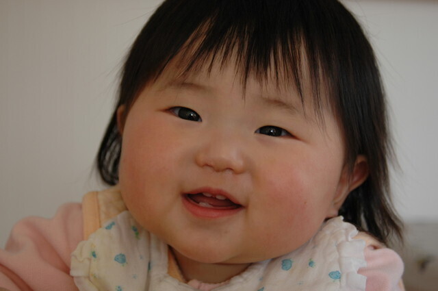 上下の歯,乳幼児,歯,歯磨き