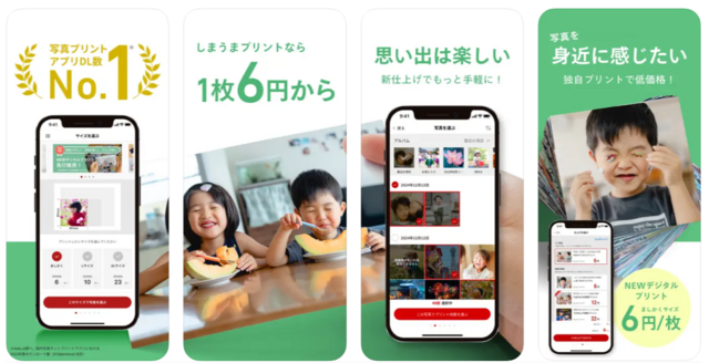 しまうま写真プリント,