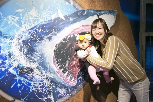 海遊館の特別展示,親子,撮影会,イベント