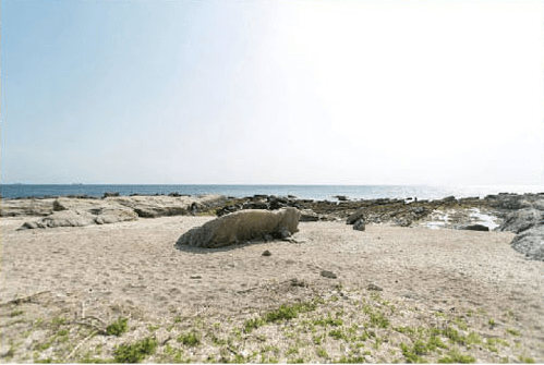 白浜フラワーパークのプライベートビーチ,白浜フラワーパーク,キャンプ,千葉