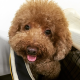 犬吠崎灯台