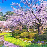 船橋市