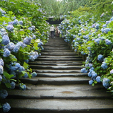 極楽寺