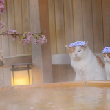 ゆりかご
