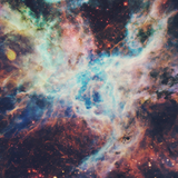 彦星
