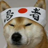 忍者