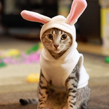 バケット
