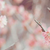 3月