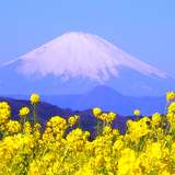 二宮町