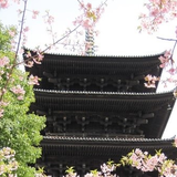 京都市