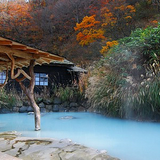 有馬富士公園