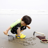 三河湾