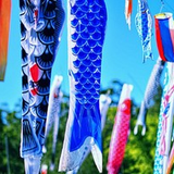 羊山公園