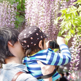 百合が原公園
