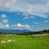 牧場