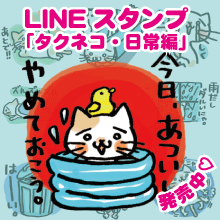 タクネコ・日常編