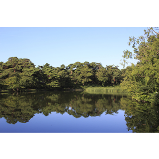 大宮公園